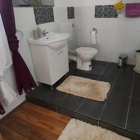 Viola * Τρογκίρ