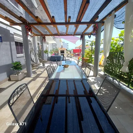 Viola Τρογκίρ